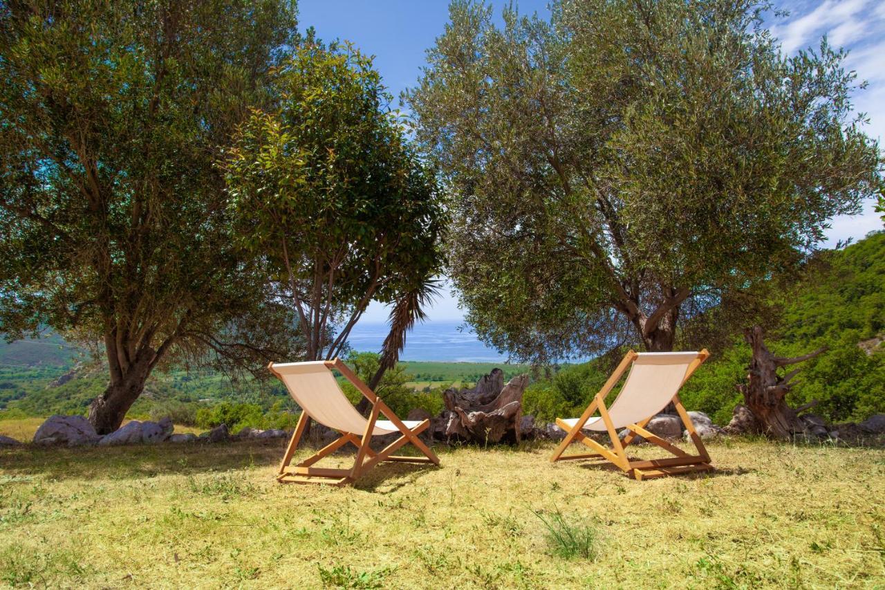בודווה Eco Village Buljarica מראה חיצוני תמונה